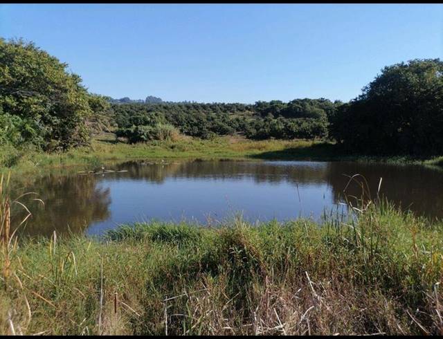 FARM FOR SALE IN LEISURE BAY